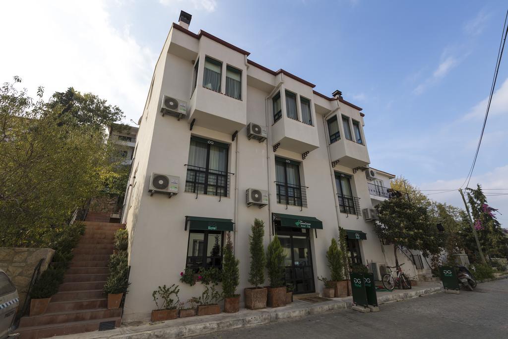 เดอะ กรีน กูส Bed & Breakfast ดัตชา ภายนอก รูปภาพ